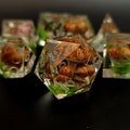 7 Forest DnD Dice Set- Polyhedral Dice For D&D TtRPG Games - With Moss and Mushrooms Inide- Handmade Resin Sharp Edge Dice- Gift for him DM